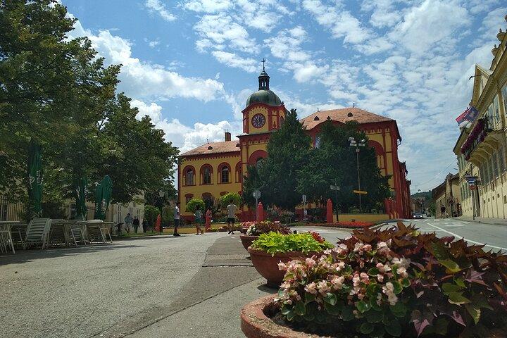 Novi Sad and Fruska Gora wine region Full-Day Tour from Belgrade