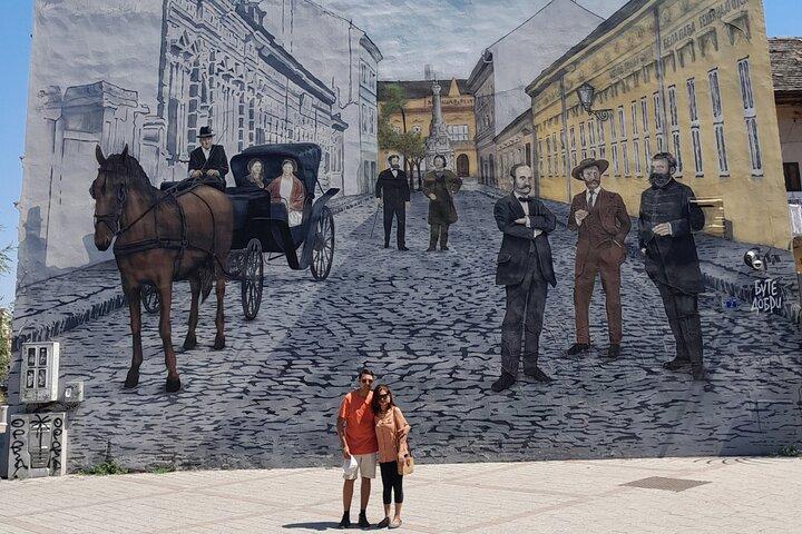 Novi Sad and Fruska Gora wine region Full-Day Tour from Belgrade