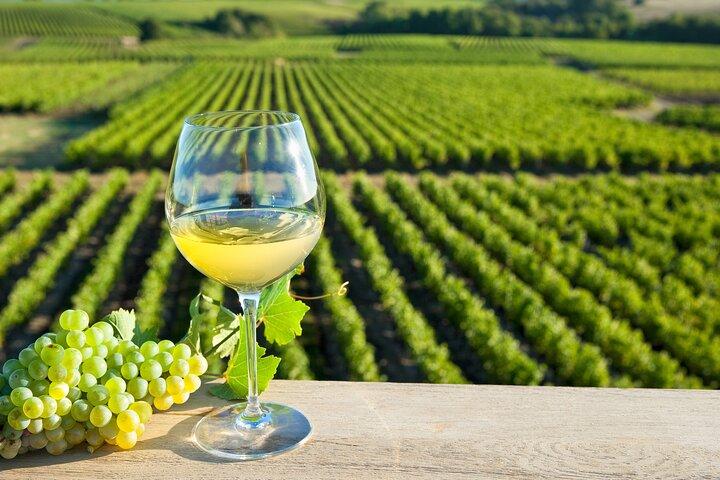 Loire Valley Wine Tour in Chinon & Bourgueil
