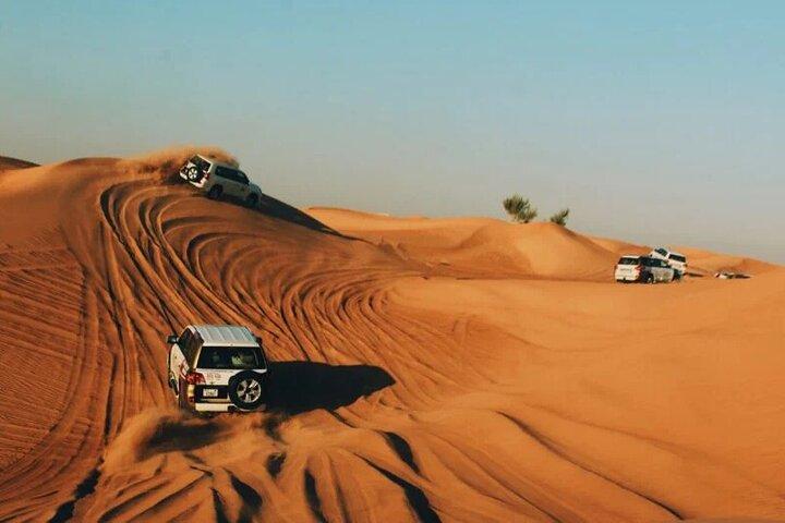Half-Day Private Morning Desert Safari by 4x4 Car