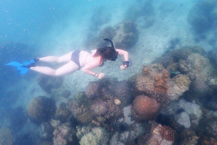 Snorkeling Full Day Experience from Bangkok