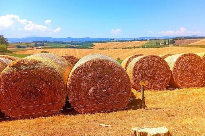 PRIVATE TOUR "Sweet Hills of Chianti and San Gimignano" with Lunch & 2 Tastings