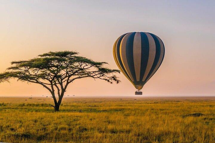 6 Days best adventure kilimanjaro ,Tarangire ,Serengeti &Ngorongoro crater
