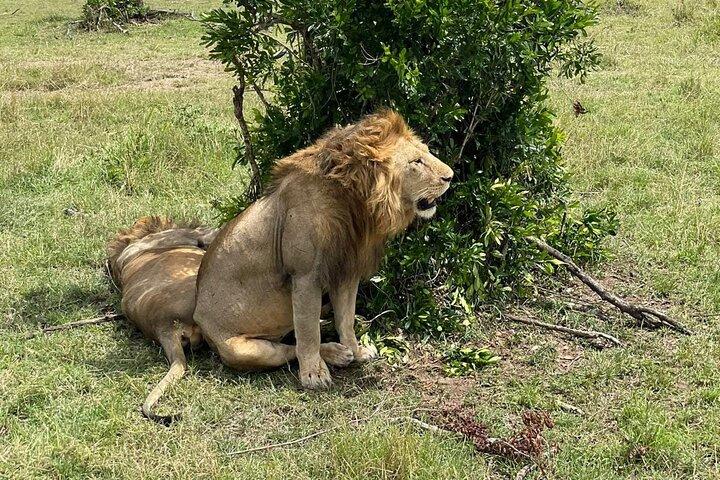 3-Day Masai Mara and Naivasha Hell's Gate National Park-Safari