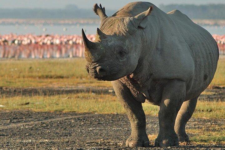 3Days Safari to Tarangire Ngorongoro and manyara lodge safari