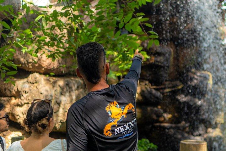 Full-Day Tour Isla Baru - National Aviary of Colombia and Playa Blanca