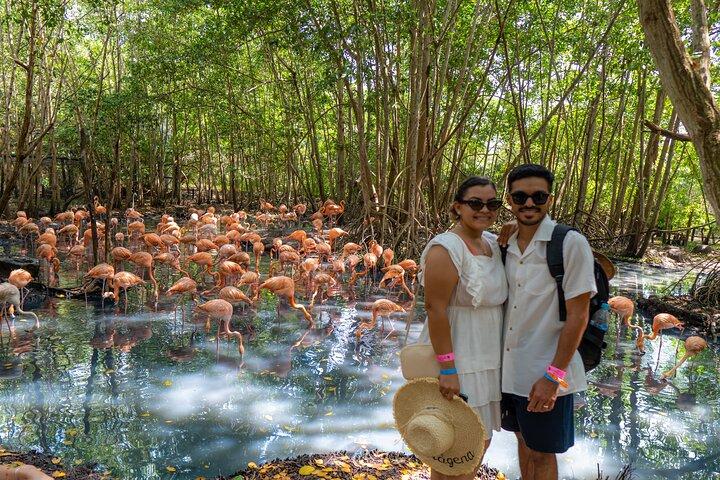 Full-Day Tour Isla Baru - National Aviary of Colombia and Playa Blanca