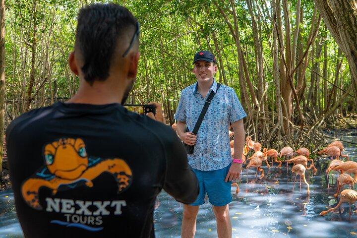 Full-Day Tour Isla Baru - National Aviary of Colombia and Playa Blanca