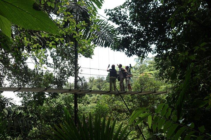 Private Guide Hanging Bridges, Fortuna Waterfall, Arenal Volcano