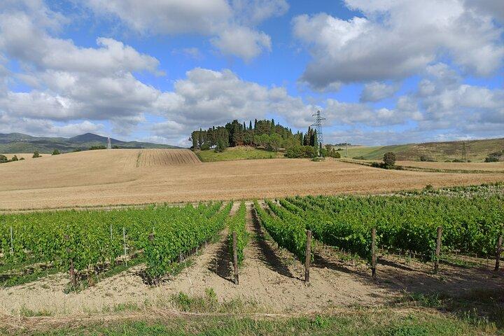 Private Half Day Tour: Visit Siena & Chianti Classic tour with Wine Experience