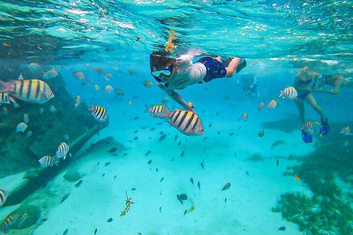 Isla Mujeres Tour, Snorkel and Golf Cart included