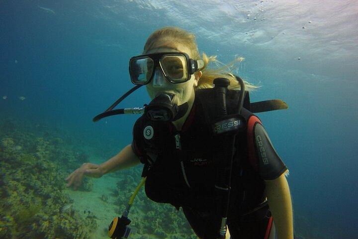Intro Scuba Dive – Aqaba Coral Reefs
