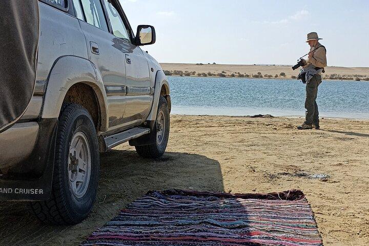 Meditation and camping in Fayoum Oasis 2-Days Activity