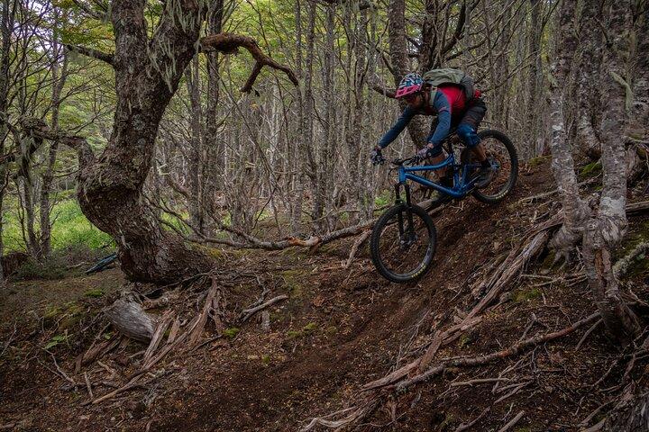 Mountain Bike Adventure in Punta Arenas