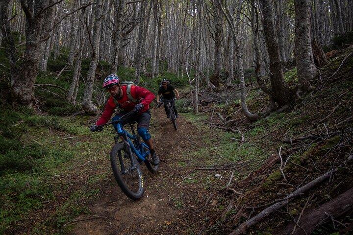 Mountain Bike Adventure in Punta Arenas