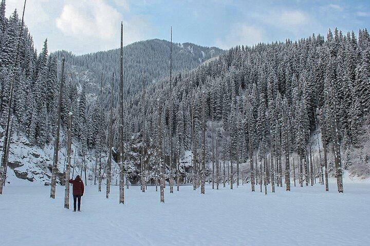 Private DayTour - Pearl Lakes Kolsai & Kaindy (Flooded Forest) via Charyn Canyon