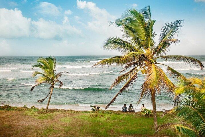 Day Excursion to Bentota from Colombo With Guide