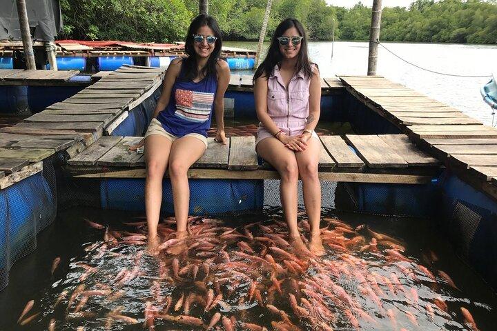 Day Excursion to Bentota from Colombo With Guide