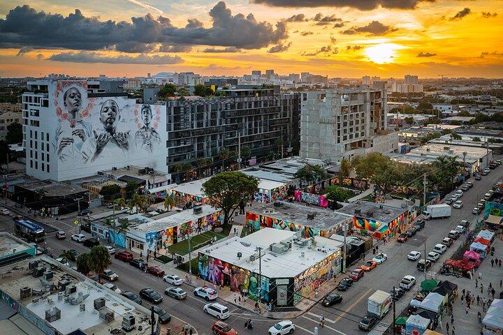 Direct Entry: Wynwood Walls Admission Ticket