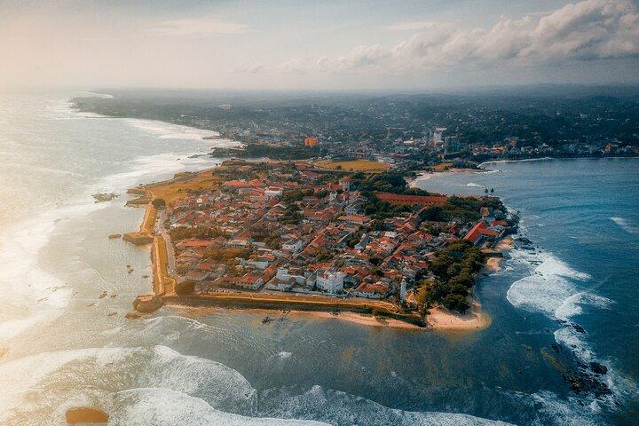 Whale watching in Mirissa from Colombo