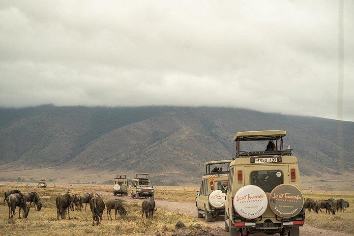 4 Days Tanzania Budget Safari