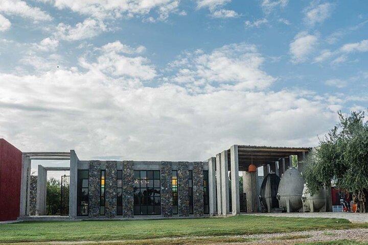 Catena Zapata Winery, Lunch and Private Transportation