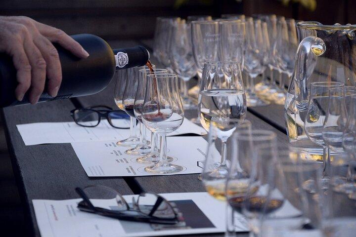 BA: Small group Argentinian Wines and Malbec Tasting in Palermo