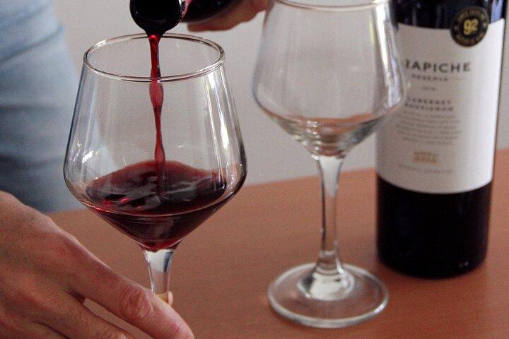 BA: Premium Argentinian Wines and Malbec Tasting in Palermo
