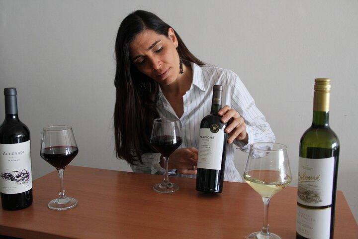 Premium Argentinian Wines and Malbec Tasting & Urban Art Tour