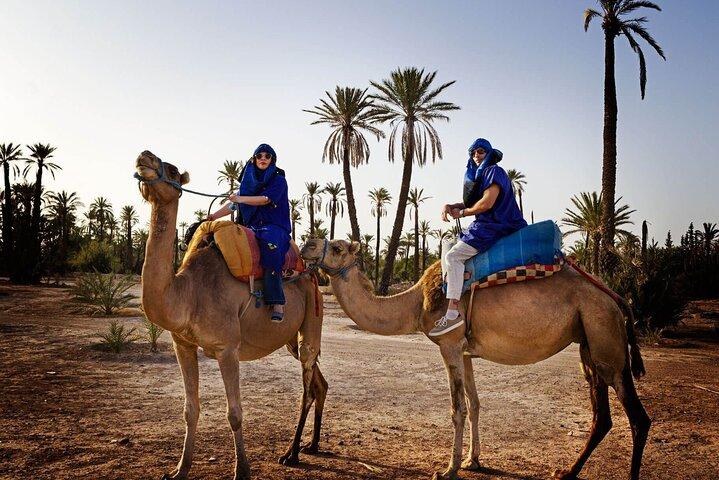 Skip the line at : Majorelle Garden and Palm Garden.