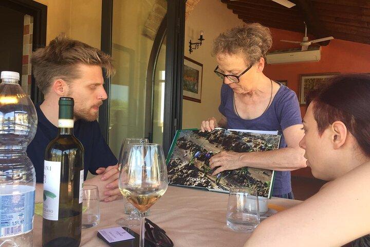 San Gimignano, Saffron and Vernaccia Wine from Florence