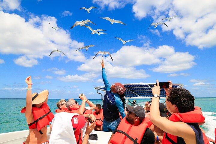 Saona Island Tour with Altos de Chavón from Punta Cana