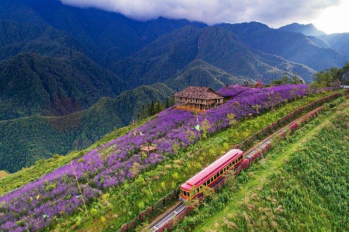 Tour to Sapa town and Cat Cat Village at the Fansipan Mountain