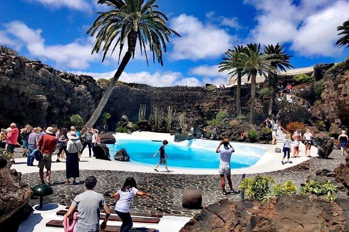 Tour of Jameos del Agua Viewpoint and Valley of 1000 Palm Trees for cruise passengers