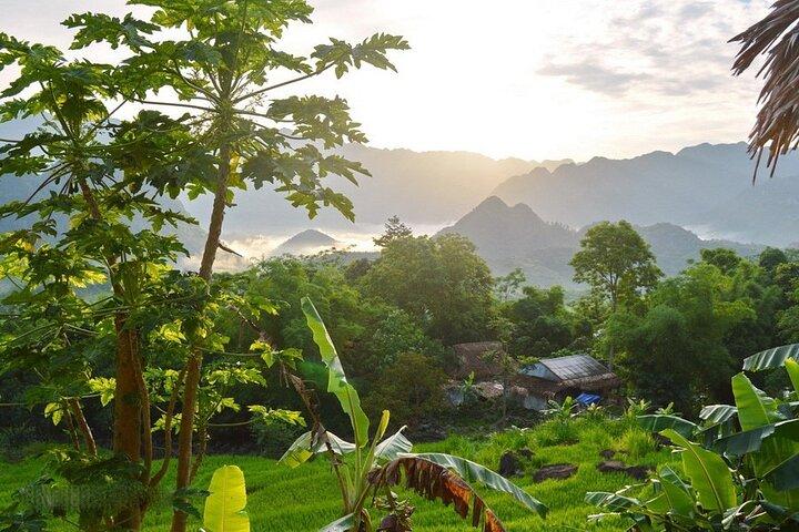 Pu Luong Nature Reserve 2 Days 1 Night Tour from Hanoi