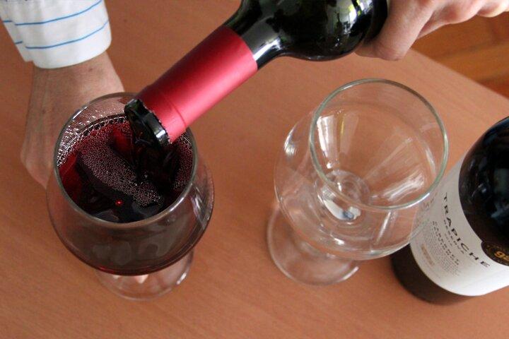 BA: Premium Argentinian Wines and Malbec Tasting in Palermo