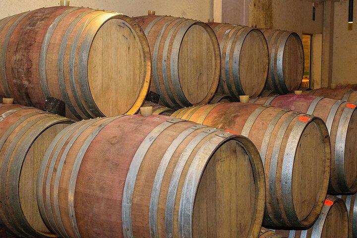 Crete Wine and Olive Oil Tour