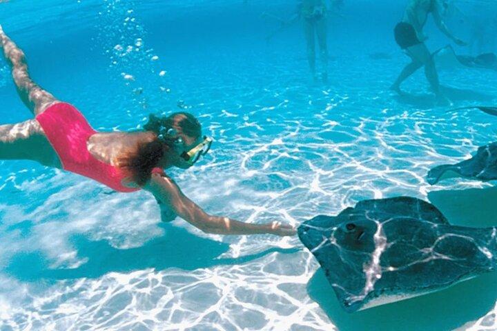 2-stop Adventure: Stingray City and snorkeling at Cayman Reefs