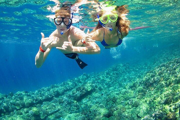 2-stop Adventure: Stingray City and snorkeling at Cayman Reefs