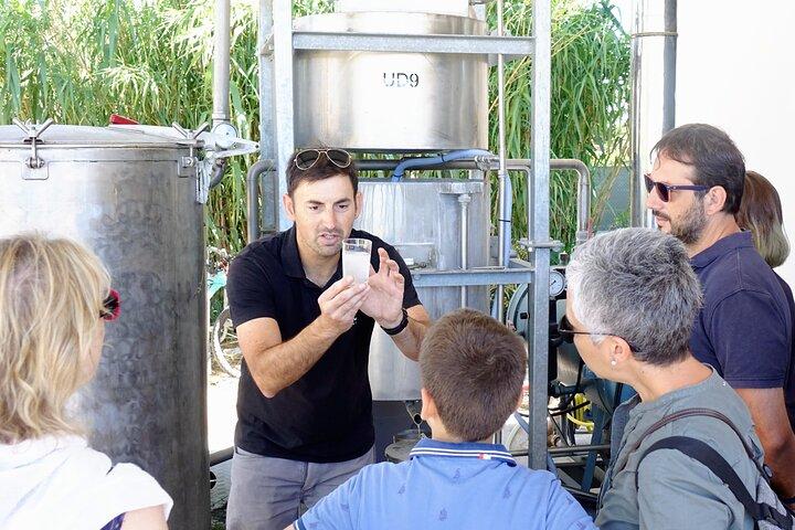Guided tour Distillery of Lavender between Nîmes & Arles