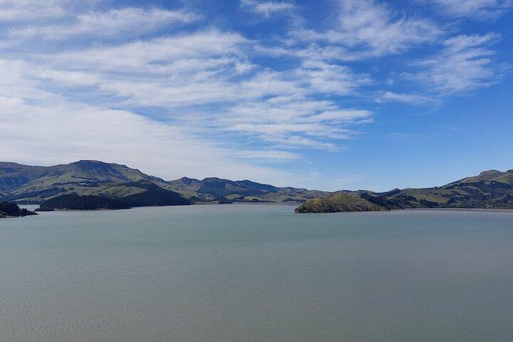 Lyttelton Shore Excursion: Christchurch Sightseeing with Antarctic Center