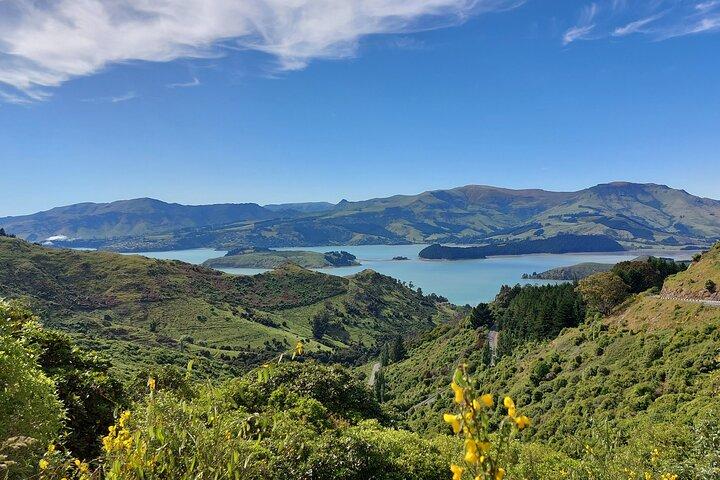 Lyttelton Shore Excursion: Christchurch & Willowbank Tour