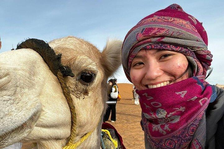 3-Days from Marrakech to Merzouga Tour with Camel Trek