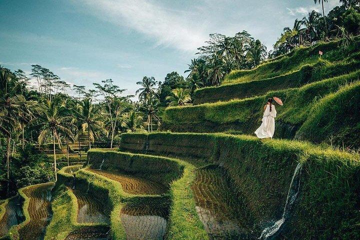 Ubud: Swing - Monkey Forest - Waterfall - Temple - Rice Terraces - Art Crafts