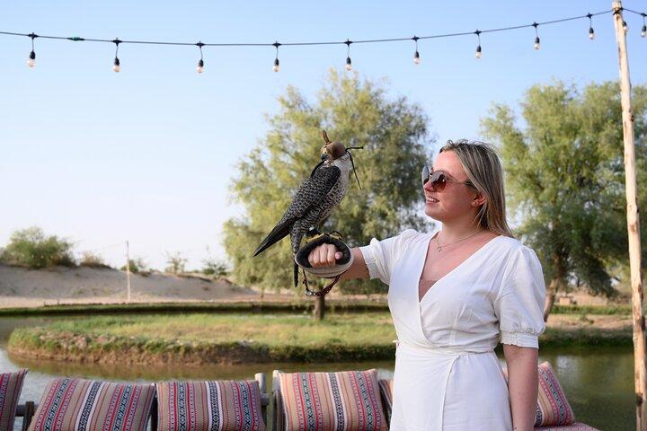 From Dubai: Full day Al Marmoom, Al Qudra Lakes with Dinner