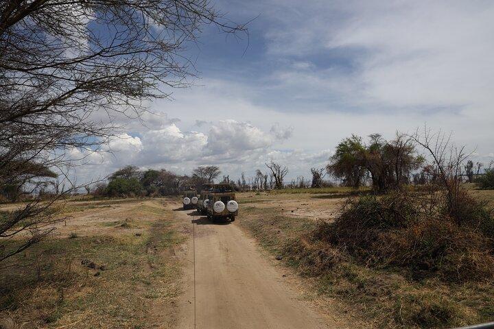 Arusha : 7 Day Safari Discover the real Africa from Lake Manyara