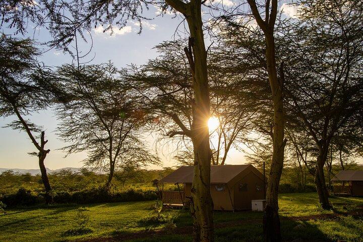From Arusha: 3-Day Lake Natron Flamingo & Tarangire Safari