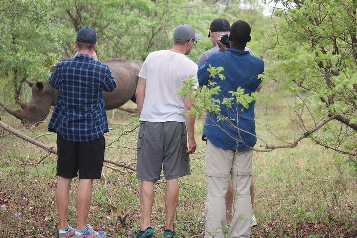 Game Drive and White Rhino Walking Safari in Livingstone