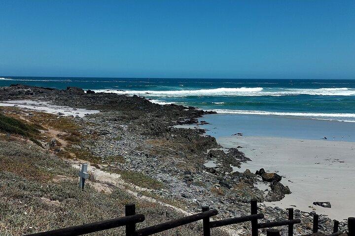Cape Agulhas Full Day Private Tour From Cape Town