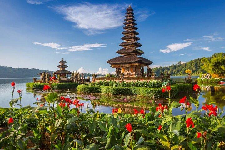 Full-Day Private North Bali Tour with Free WiFi